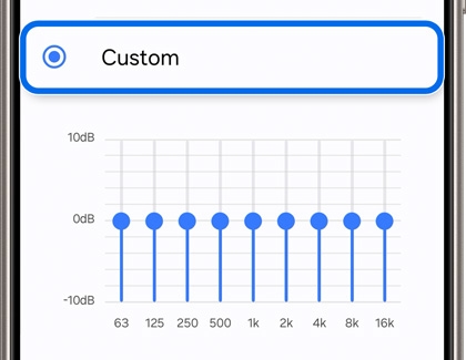 Custom highlighted and selected in the Equalizer settings