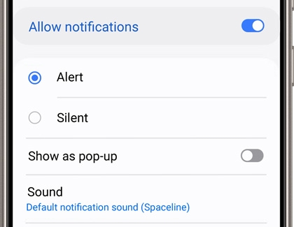 App notification settings screen with options to allow notifications, select alert or silent modes, and customize notification sounds.