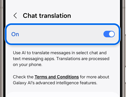 On highlighted in Chat translation settings screen