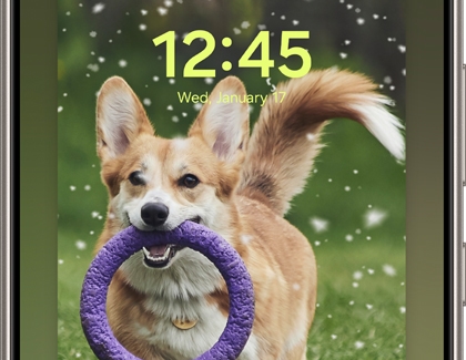 Lock screen with a corgi holding a purple toy and snowflakes in a dynamic winter animation.