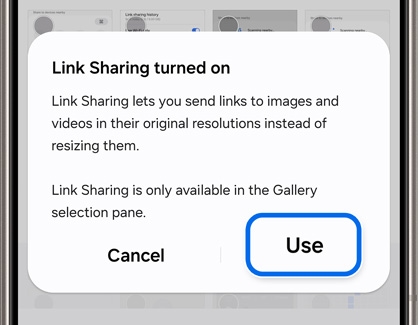 Use option highlighted in the Link Sharing turned on pop-up screen