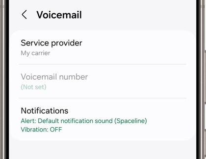 Voicemail settings screen displaying Service provider, Voicemail number, and Notifications