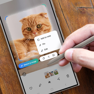 Galaxy phone screen with a cat selected using the AI Select tool.
