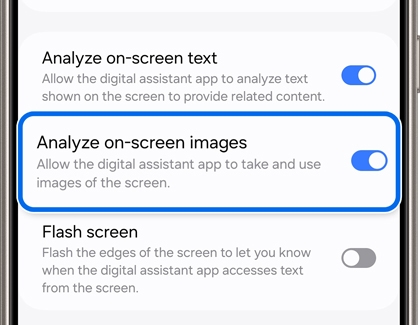 Analyze on-screen images activated in Settings