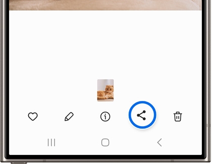 Share icon highlighted when image is selected in the Gallery app