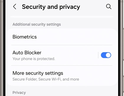 Security and privacy settings screen displaying Additional security settings such as Biometrics, Auto Blocker, and More security settings.