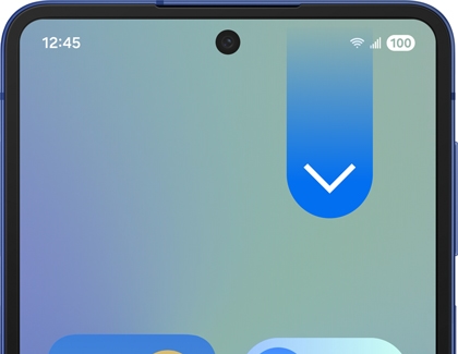 Swipe down gesture on the home screen.