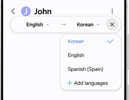 Dropdown menu showing language options for translation in a Samsung chat feature.