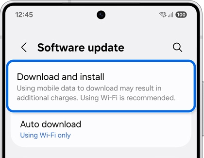 Galaxy S25 Ultra showing software update menu with download and install option highlighted.
