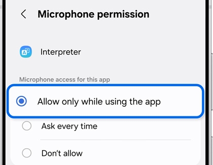Allow only while using the app is selected in the Interpreter apps Microphone permission.