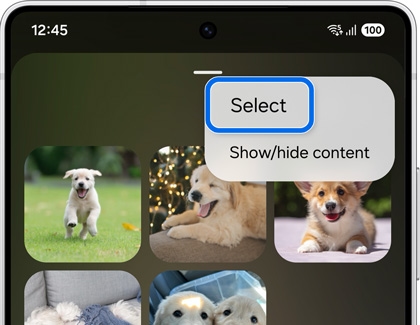 Select option highlighted
