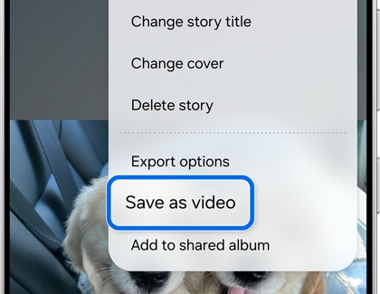 Save as video highlighted