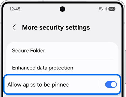 Galaxy S25 Ultra displaying More security settings with Allow apps to be pinned option enabled and highlighted