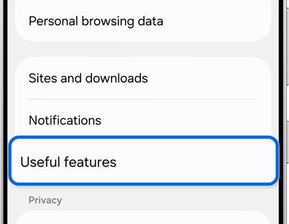 Galaxy S25 settings screen showing a settings list with Useful features highlighted with a blue rounded rectangle.