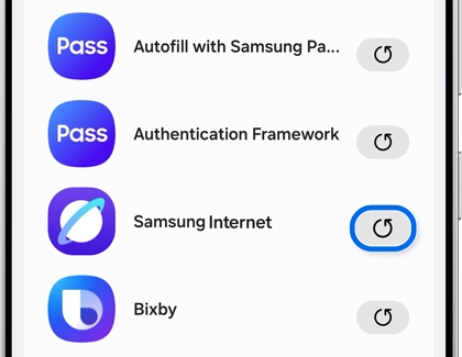 Updates screen in Galaxy Store on the Galaxy S25 Ultra showing an update icon next to Samsung Internet highlighted with a blue circle.