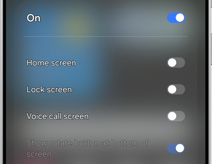 Display settings on the Galaxy S25 Ultra with the toggle for screen rotation options, including Home screen, Lock screen, and Voice call screen.