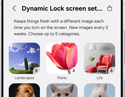 Dynamic Lock screen settings showing image categories including landscapes, plants, life, and animals.