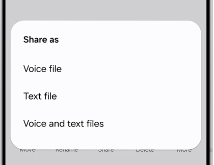 Options to share a call recording as a voice file, text file, or both on a Galaxy S25