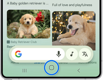 The home button highlighted while in the Google app with golden retriever puppy image in the background