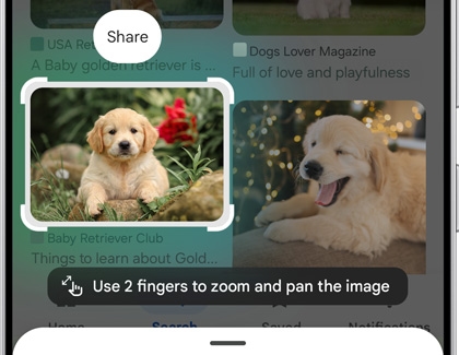 A Galaxy phone displaying a close-up of a puppy photo with sharing and zoom options after Circle to Search is used.