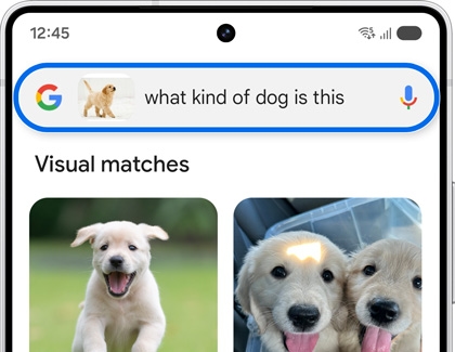 Search results for a puppy on a Galaxy phone using the Circle to Search feature, displaying visual matches and related searches.