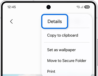Details highlighted in More Options