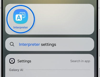 The Interpreter app screen.