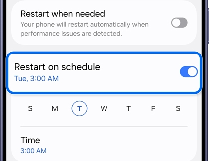 Auto restart screen with the Restart on schedule toggle switch turned on