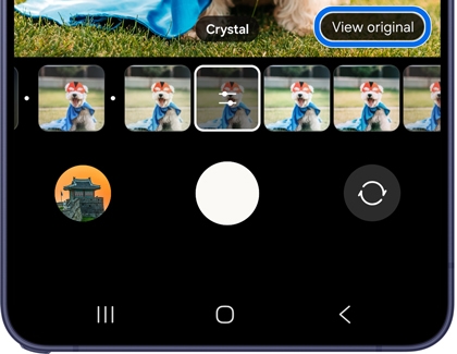 A Galaxy phone showing the Camera app with a row of filter previews of a dog photo, Crystal filter selected, and View original button highlighted in blue.