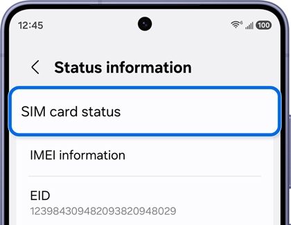 Status information screen with the SIM card status option highlighted.