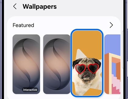 A screen showing various wallpaper options to select from.