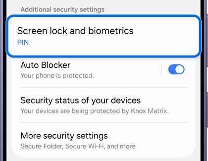 Samsung Galaxy security settings screen with Screen lock and biometrics outlined in blue.
