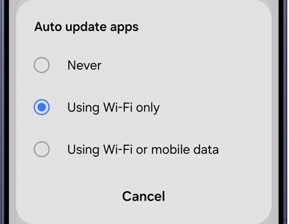 Using Wi-Fi only selected in the Auto update apps prompt.