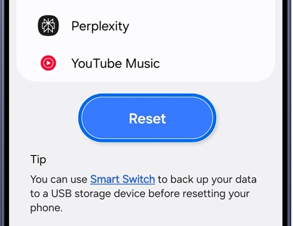 Factory data reset screen with the Reset button highlighted.