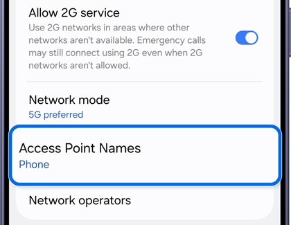 Mobile networks menu with Access Point Names highlighted.