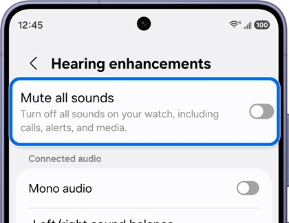 Hearing enhancements screen with the Mute all sounds option highlighted.