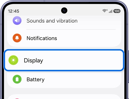 Samsung Galaxy settings menu with the Display option outlined in blue.