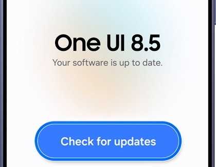 Software update screen with the Check for updates option highlighted.