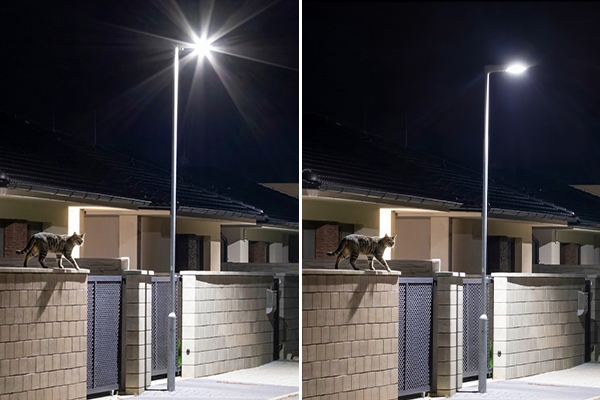 Comparison of a photo with an unwanted light streak vs. cleaner image.