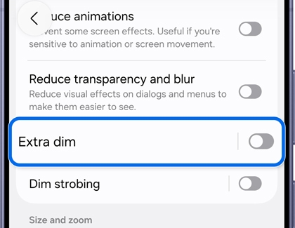 Vision enhancements menu with the Extra dim toggle turned off.