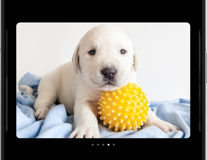 Generated sketch of a puppy with a yellow ball