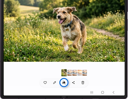A Galaxy Z Fold displaying a photo of a dog in a field with the photo assist icon highlighted.