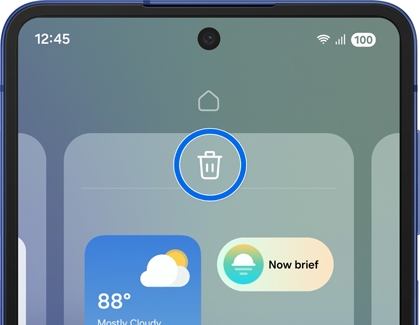 Galaxy phone showing the option to remove a Home screen page with a trash can icon.