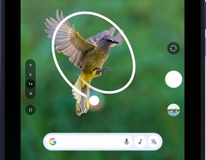 Circle to Search used on a Galaxy Z Fold7 to identify a bird in mid-flight against a blurred green background.