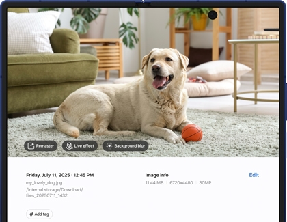 Galaxy AI editing tools on a foldable device showing Edit suggestion options like Remaster, Live effect, and Background blur for a photo of a dog with a toy.