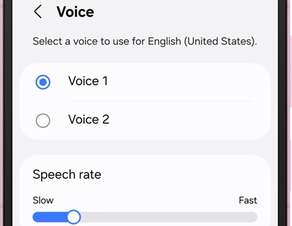 Voice settings screen showing selected option Voice 1 for English and a speech rate slider set toward Slow.