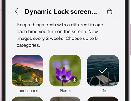 A Samsung phone showing the Dynamic Lock screen menu with category options for Landscapes, Plants, and Life.