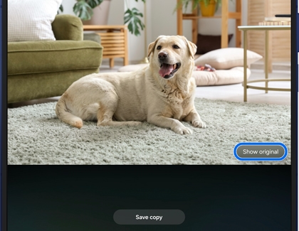 Photo editing screen on a Galaxy Z Fold7 showing a dog lying on a rug, with the option to compare edits to the original and save a copy.
