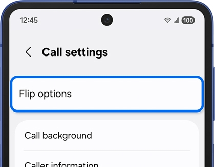 Call settings screen with Flip options highlighted.