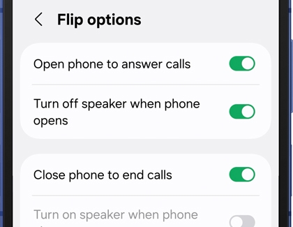 Flip options screen with toggles for answering and ending calls using the flip.